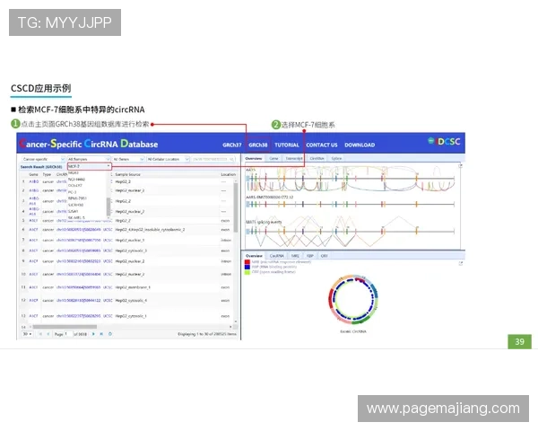全面指南:如何顺利完成AG国际官网注册手续 全面指南:如何顺利完成AG国际官网注册手续