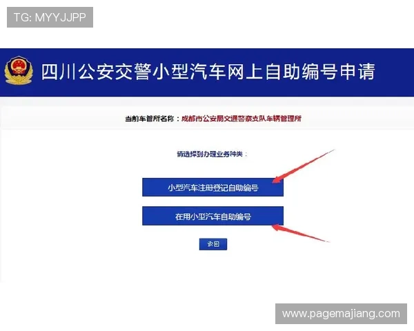 最新PA视讯登录入口攻略及注意事项全方位指南