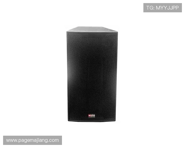 澳门PA厅：专业音响设备租赁流程详解与注意事项